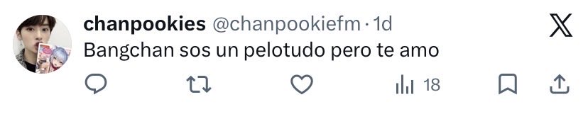 tyangskz's tweet photo. not las argentinas diciendo cosas de minho x hacer absolutamente NADA y diciéndole pelotudo a Chan por poner límites, luego se preguntan “ay por que todo latam los odia, mm siempre inventan cosas de nosotros” PFFF https://t.co/6W9jNf6TKC