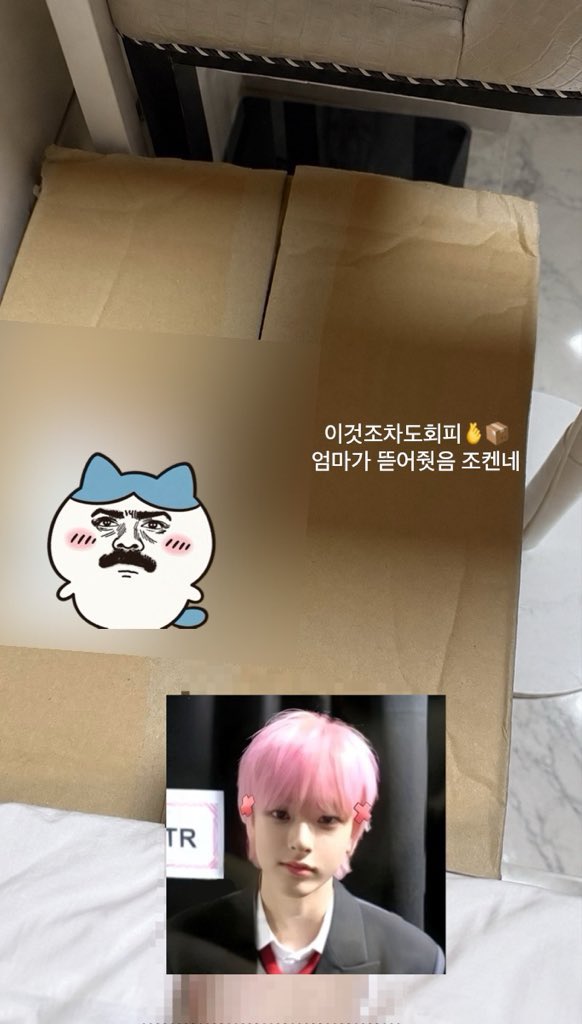 dbgmlsy's tweet photo. 그냥 회피형 빠순이📦 https://t.co/8szSgTllzY