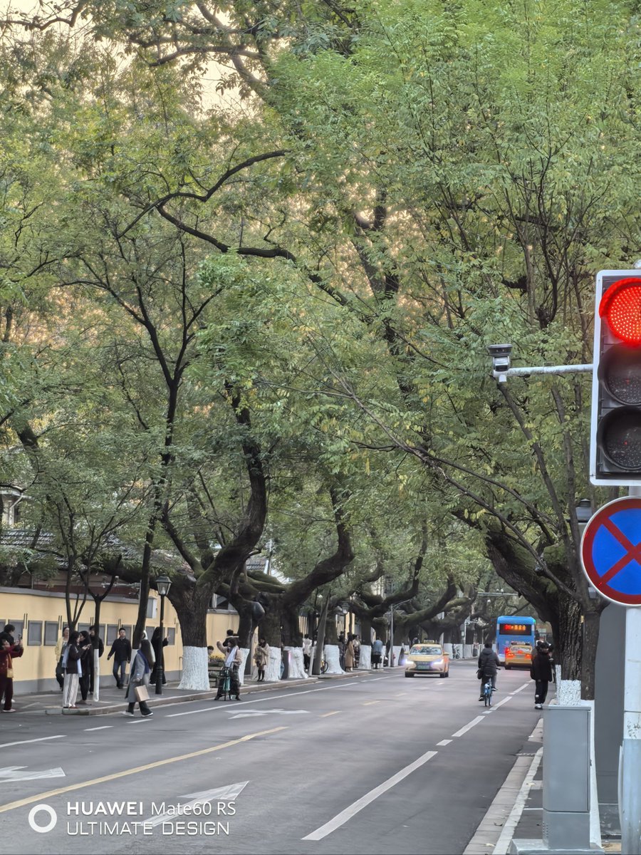 bunsinjaga79611's tweet photo. Just took a morning bus to the old downtown! Wandered along the tree-lined streets, grabbed a warm coffee, and watched locals hustle about. Perfect quiet start to the weekend.， https://t.co/t3ycnjPq8r