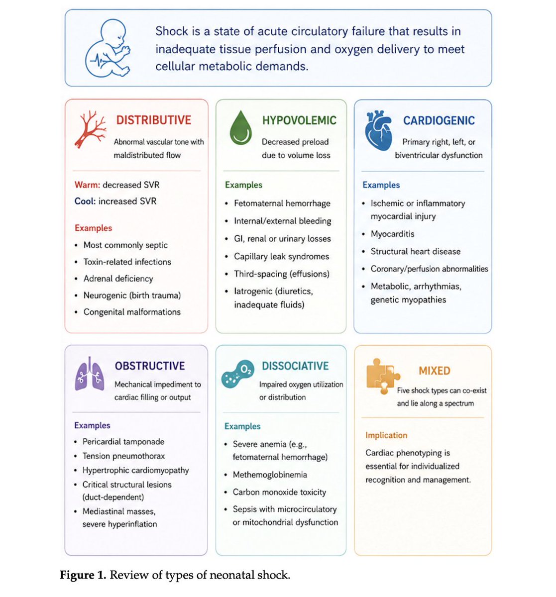 CardioNeo's tweet photo. New article on POCUS and TNE complimentary approaches in neonatal shock at @MDPIOpenAccess 
https://t.co/zBcEoQrbgz https://t.co/YMNRWLKGpJ