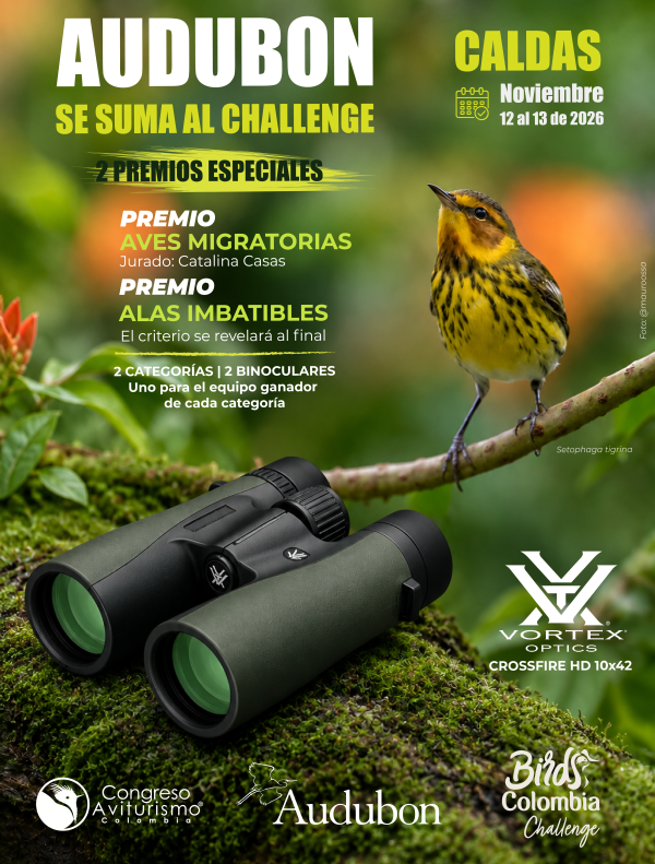 BirdsColombia tweet picture