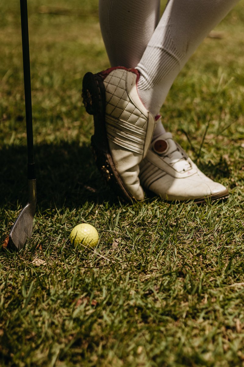 midnightfox2006's tweet photo. After work, I was near the dogwood dunes for low-impact outdoor movement. Soft murmur and olive branches were around me. My burgundy watch, rust umbrella, and bronze duffel were there too. I felt calm and confident. #ActiveGolf #DogwoodDunesGolf https://t.co/8FviHtNBra