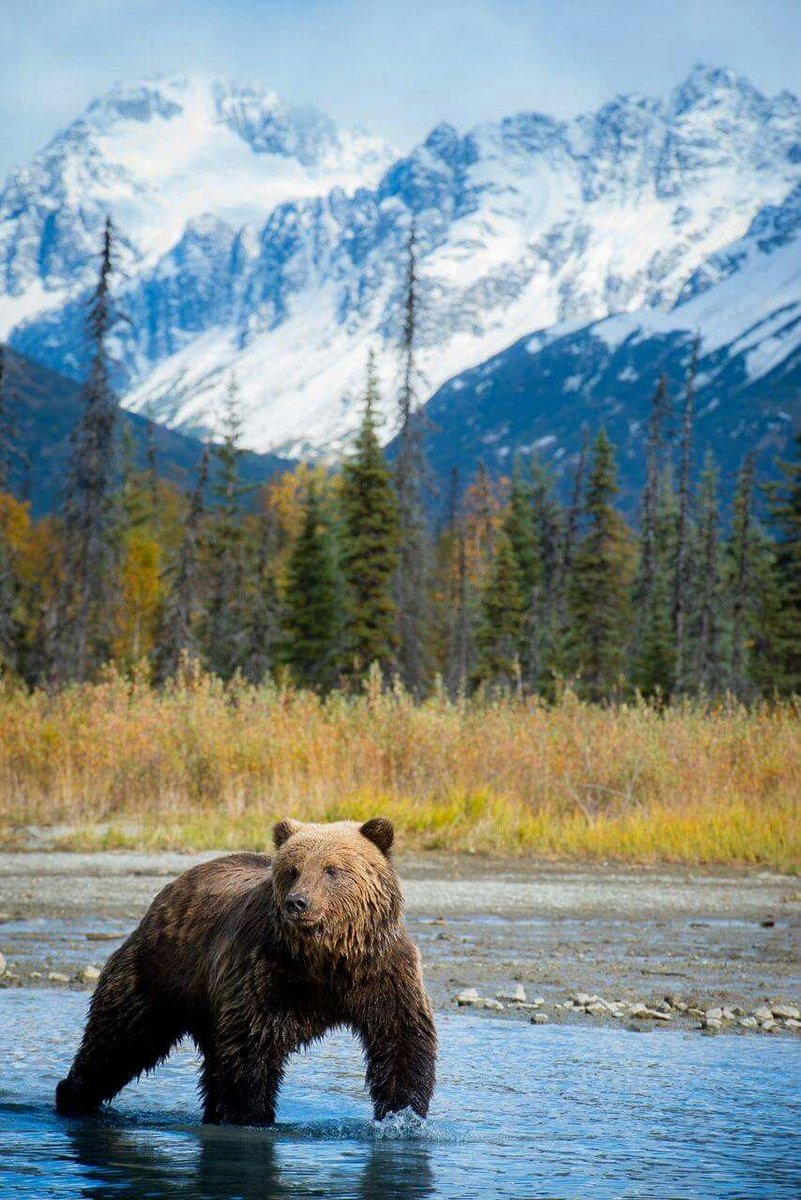reminiscinbby's tweet photo. Alaska https://t.co/Qkv5KZ3vHF