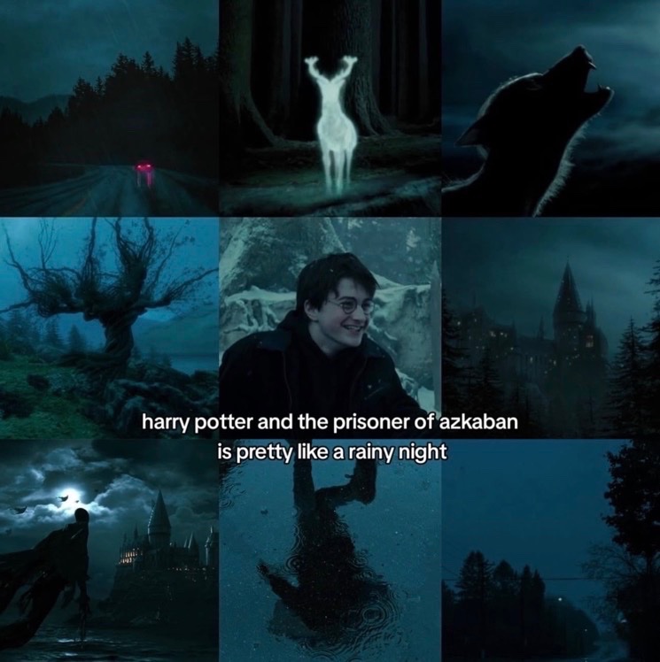 TheDailyHPotter's tweet photo. Each Harry Potter movie feels so different 🥰 https://t.co/Y2Zubx8R4x