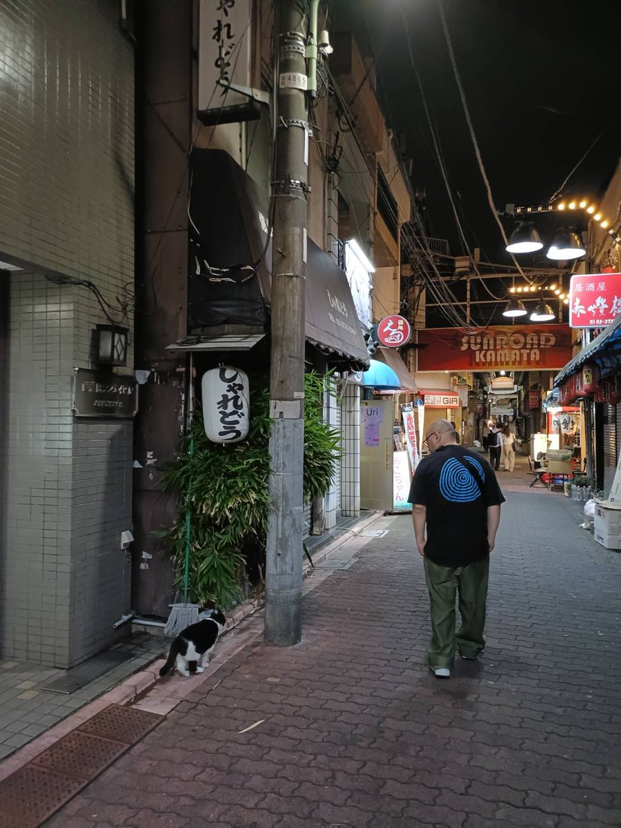 rasetu_sad's tweet photo. 猫と会話する俺 https://t.co/csPpppvM4h