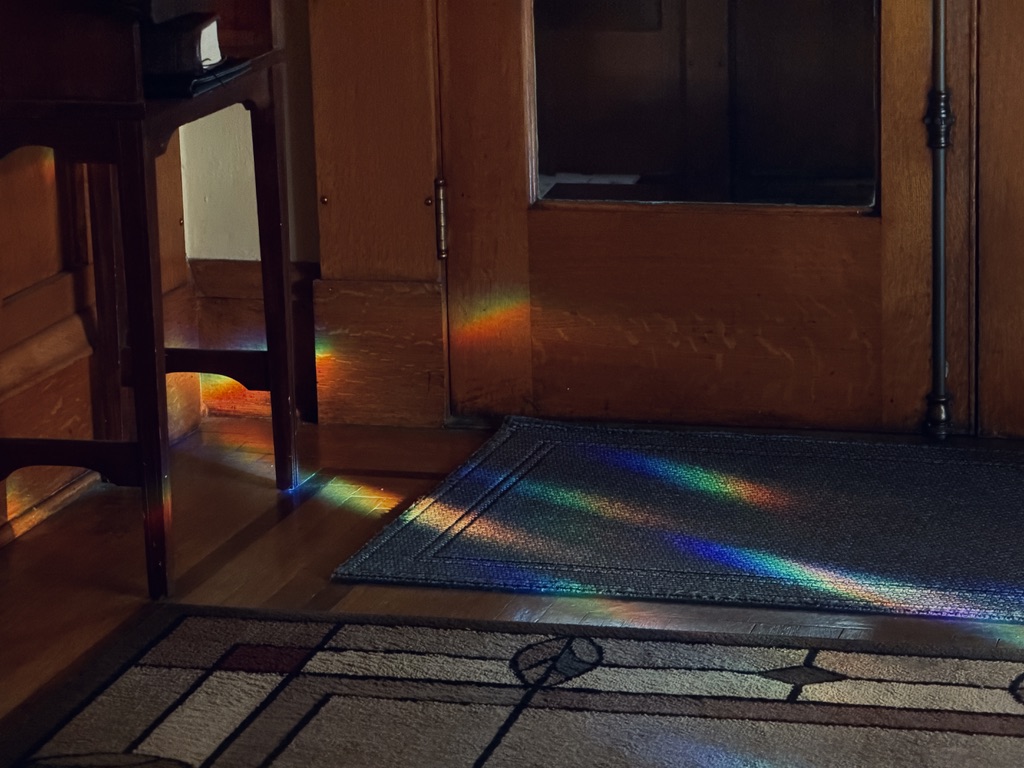 aidenanderson's tweet photo. Through a glass brightly. https://t.co/IYZMYtOF5j