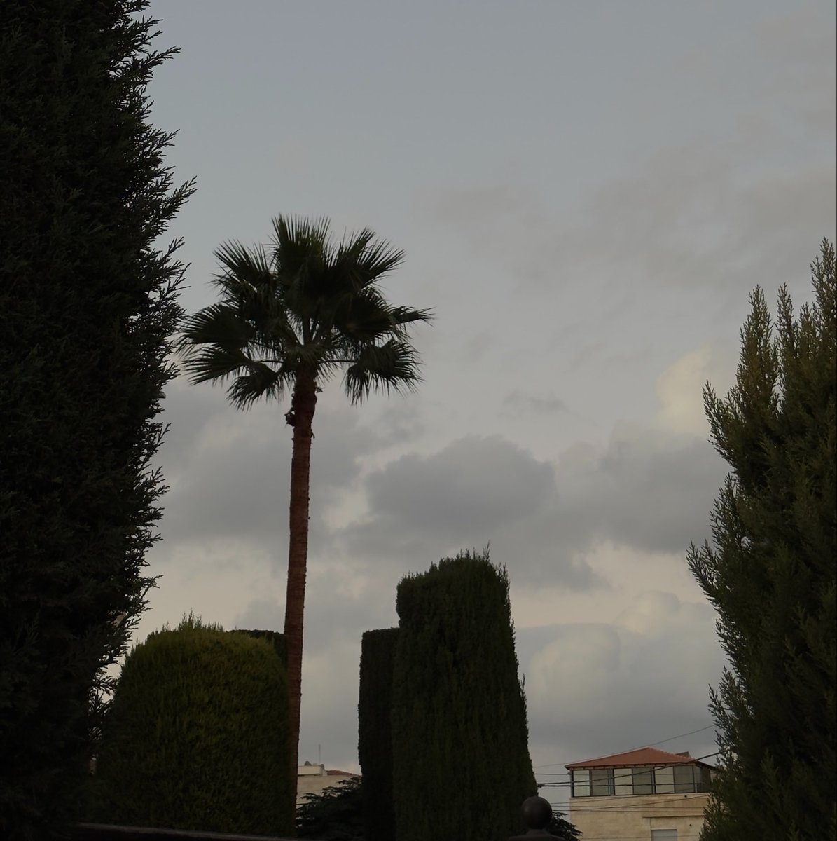 btwmarrr's tweet photo. Somewhere between the breeze and the clouds, I found a little peace💌. https://t.co/ePiRn7PetE