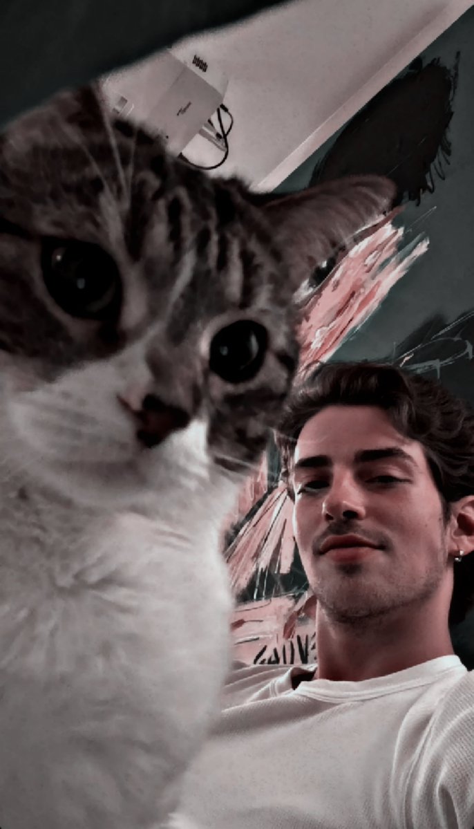 NICKLOVELYMOR's tweet photo. ⠀⠀⠀⠀⠀
⠀⠀⠀“ Mi Viernes se trata de mi gatito, se llama Kiwi y es muy chismoso. ”
⠀⠀⠀⠀ https://t.co/ukhgLxJ5gX