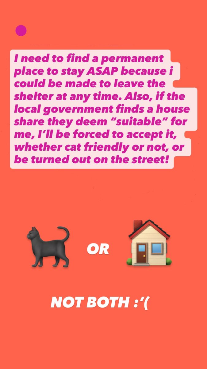 sanastratus's tweet photo. Hi u might know me from my art on Rendog’s YT! I’m raising funds for a deposit so I can become not-homeless and keep my cat!

(Tryin to keep it light but low-key I got hate crimed for being trans &amp; I need help to get into secure housing) #rendog 1/2 https://t.co/stWLbdsFOl
