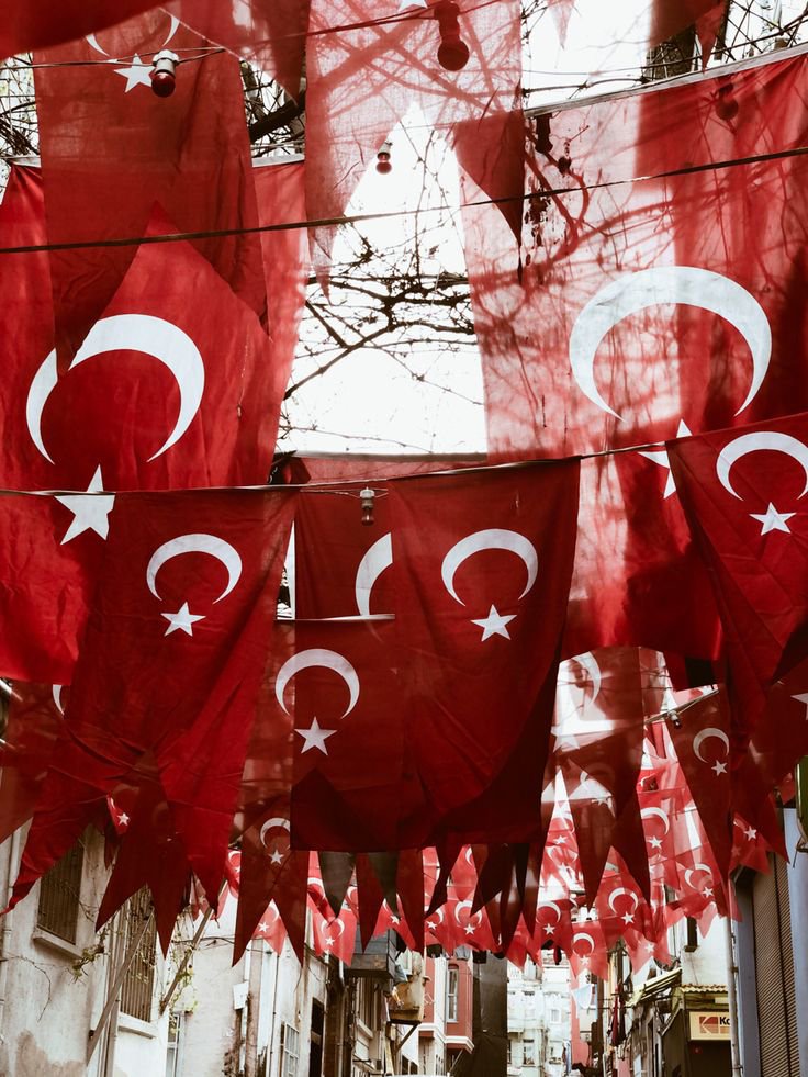 filintamustafa_'s tweet photo. Türk kırmızısı. https://t.co/a4OnpT62gw