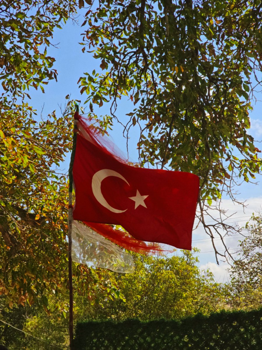 senavkat's tweet photo. düğünleri de şenlendiren sensin 🇹🇷

📍bi' köy / kırşehir https://t.co/ACosClxh3y