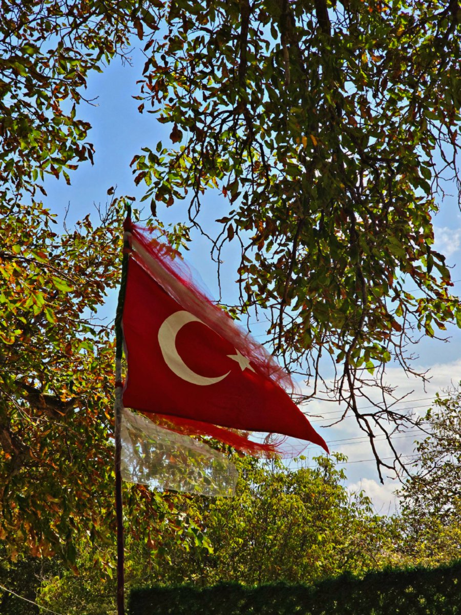 senavkat's tweet photo. düğünleri de şenlendiren sensin 🇹🇷

📍bi' köy / kırşehir https://t.co/ACosClxh3y
