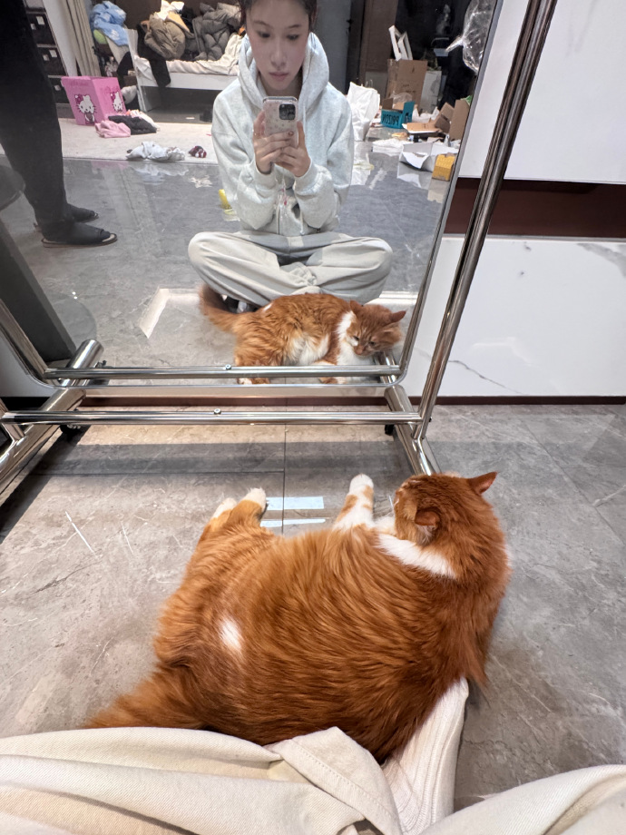 _0526_1004_'s tweet photo. Today I laughed so hard at my cat’s zoomies that my cheeks hurt—small wins hit different! https://t.co/xZMfP9czvp
