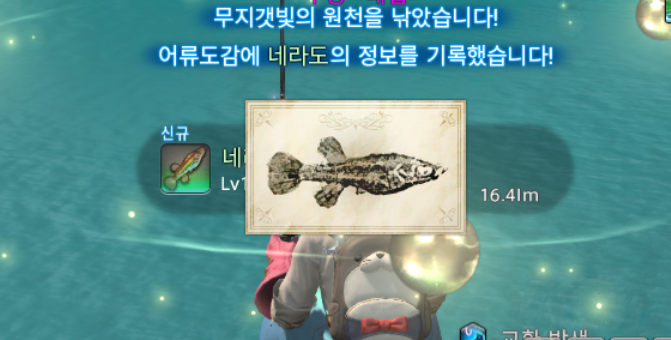 dudang_ff14's tweet photo. 26.09.19 네라도 녀석 오늘도 안 잡히면 아니라도로 개명시키려 했는데 그건 싫었나 봐 그래도 3번째 입질에 잡히긴 함 짜식.. https://t.co/Aa7AvmIwnd