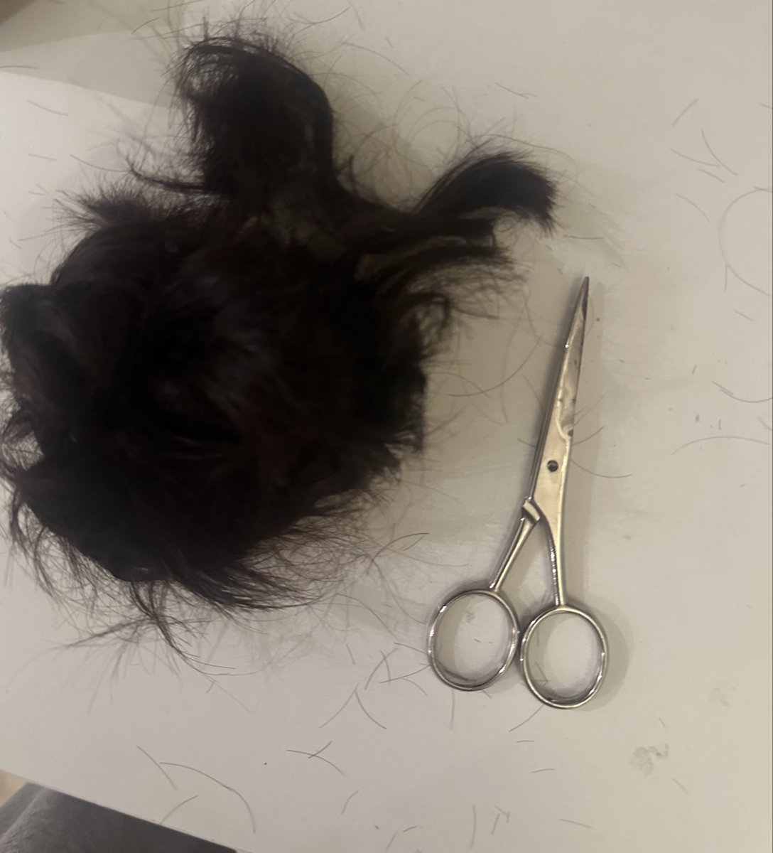 KitFitsofpgt's tweet photo. Ou shit revoke my right to own scissors 
(Don’t)
#manic #shed https://t.co/Qp0JAnxkv9