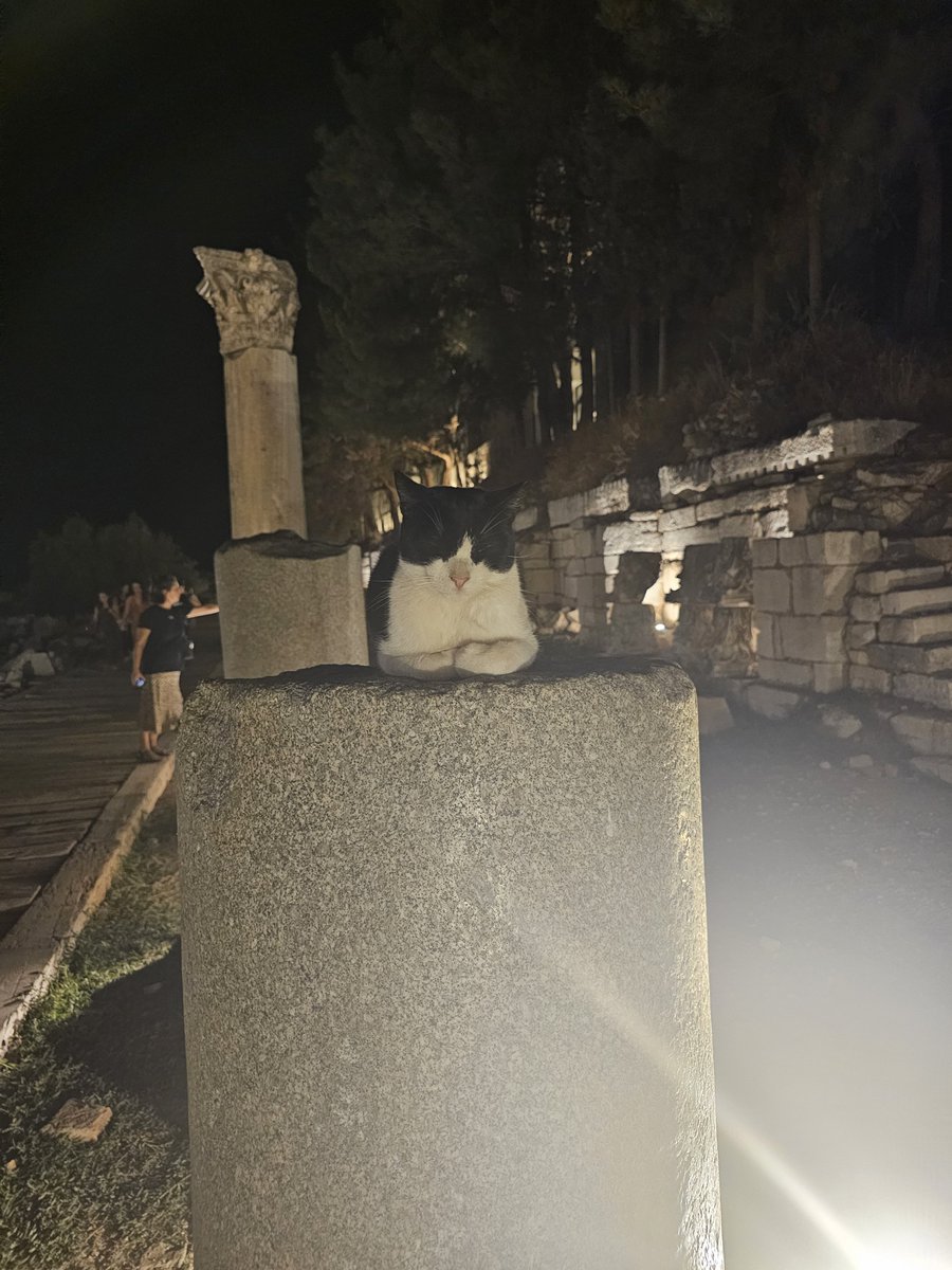 zebercet1923's tweet photo. Biz bu çocukların hakkını ödeyemeyiz, gecenin bu vakti ingiliz çalmasın diye efeste tarihi eser nöbeti tutuyor https://t.co/yBTYQzTK2a