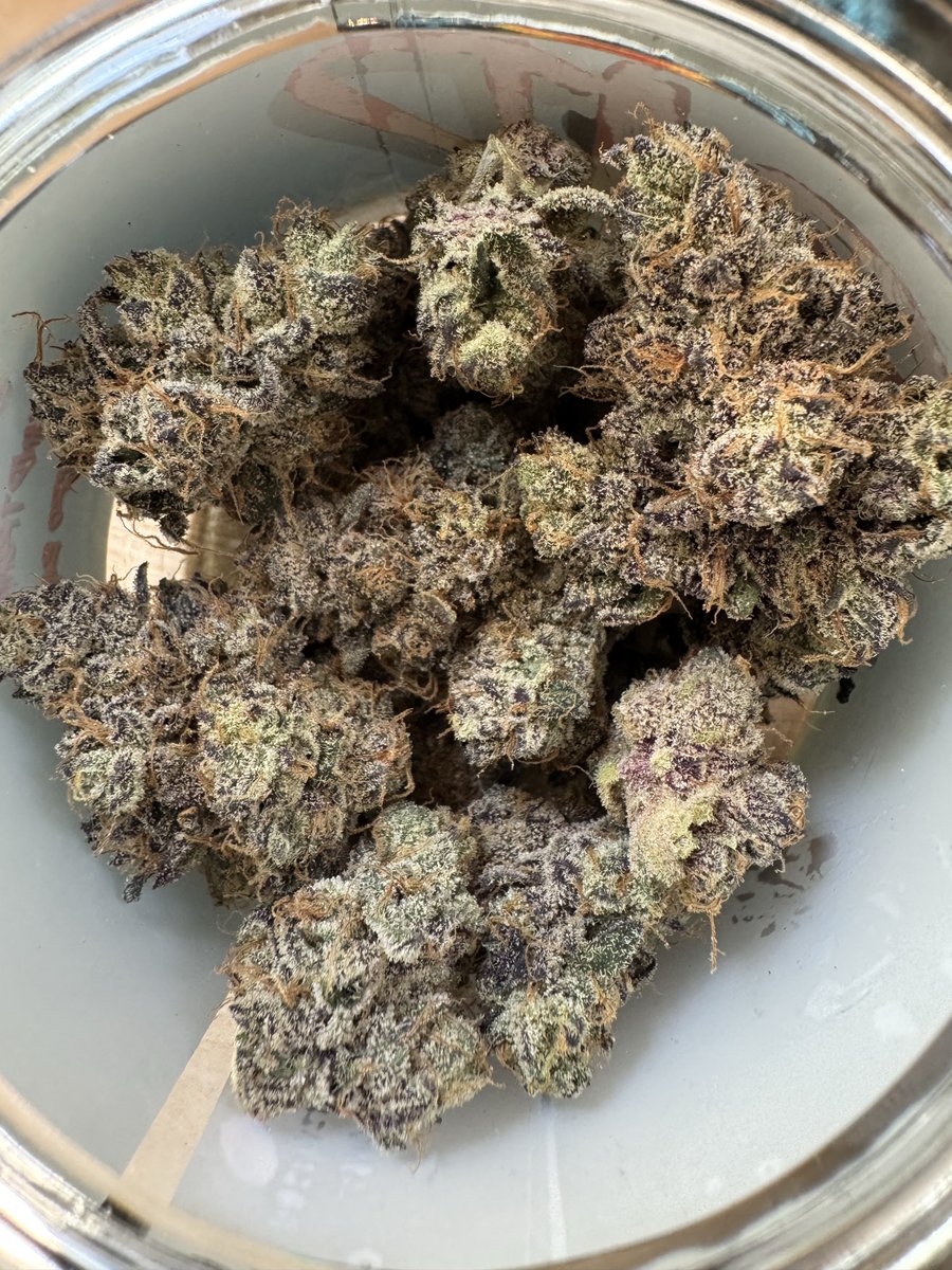 TEXMEDZ's tweet photo. Homie dumping straight resin nuggets 😂 I’m still trying to find the herb in these jars ☠️ @Lonestar_Cult 

-RAD ⚡️
(Scary P x Hashburger)

-SILVER DOLLAR 🪙
(Iron Lungs x Money Maker)

-GORILLA GLUE #4 🦍 
(Josey Cut)

No drama or bitching around here! Keep that energy! 🤮 https://t.co/0NGnFOvDiF