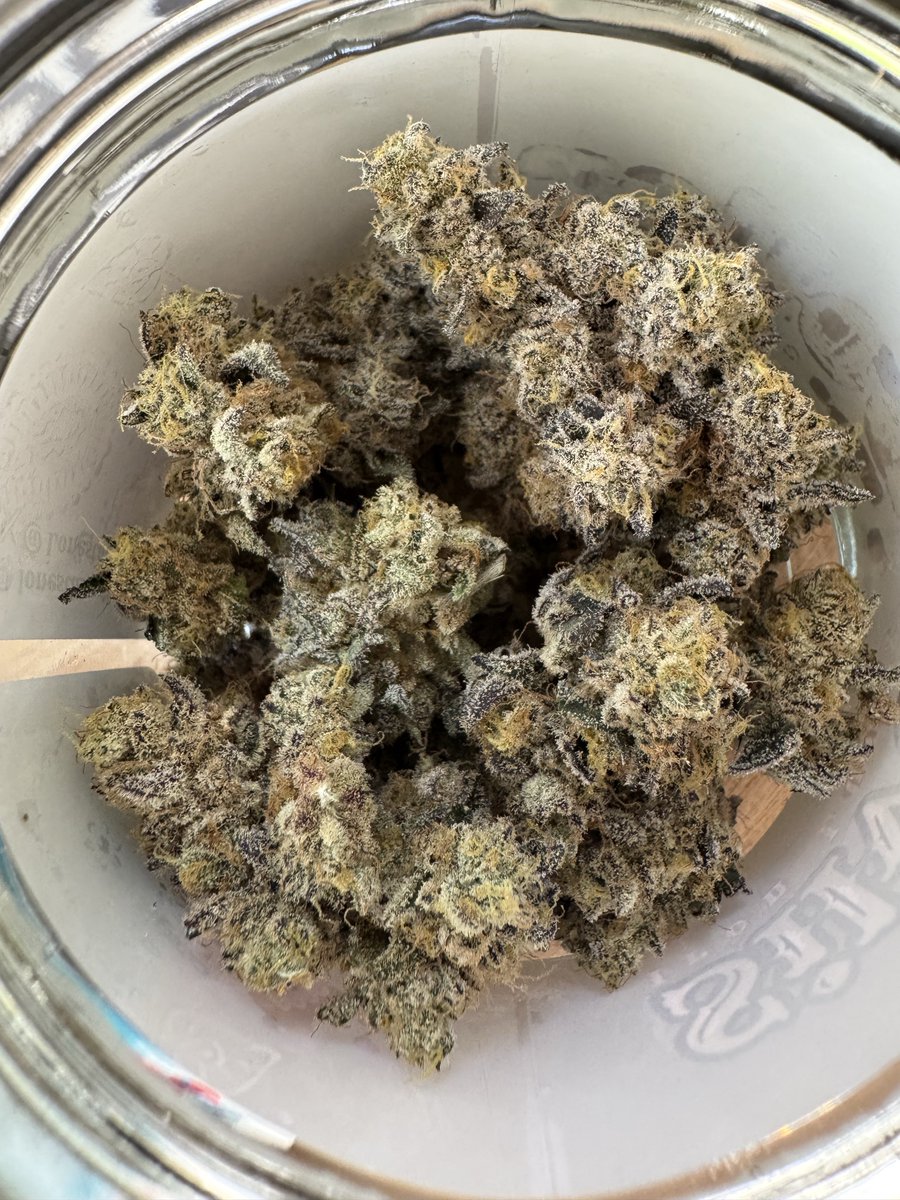 TEXMEDZ's tweet photo. Homie dumping straight resin nuggets 😂 I’m still trying to find the herb in these jars ☠️ @Lonestar_Cult 

-RAD ⚡️
(Scary P x Hashburger)

-SILVER DOLLAR 🪙
(Iron Lungs x Money Maker)

-GORILLA GLUE #4 🦍 
(Josey Cut)

No drama or bitching around here! Keep that energy! 🤮 https://t.co/0NGnFOvDiF
