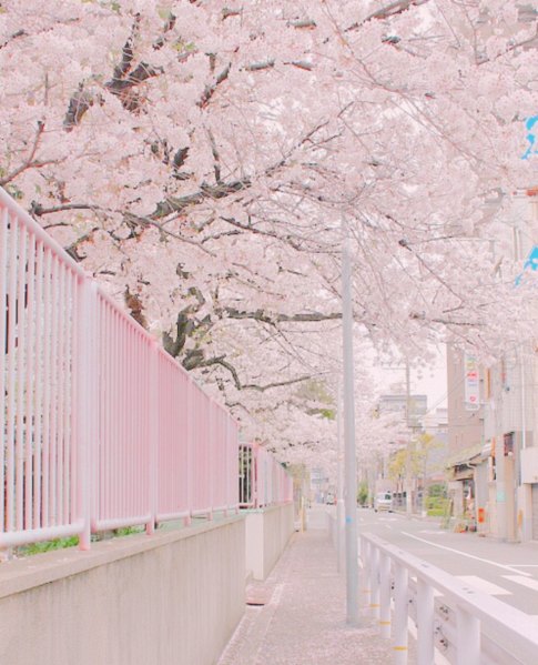 xpln_dmn's tweet photo. バリバリ毎日働いてたころは平均体重56キロくらい。鬱になり44キロになりこのままじゃ死ぬと思い退社。1年で薬の副作用かブクブクになり64キロ。
筋トレ、ウォーキング取り入れて現在65キロ。太った頃より体重あるが見かけゴツくなった。 https://t.co/NoA1RCrfln