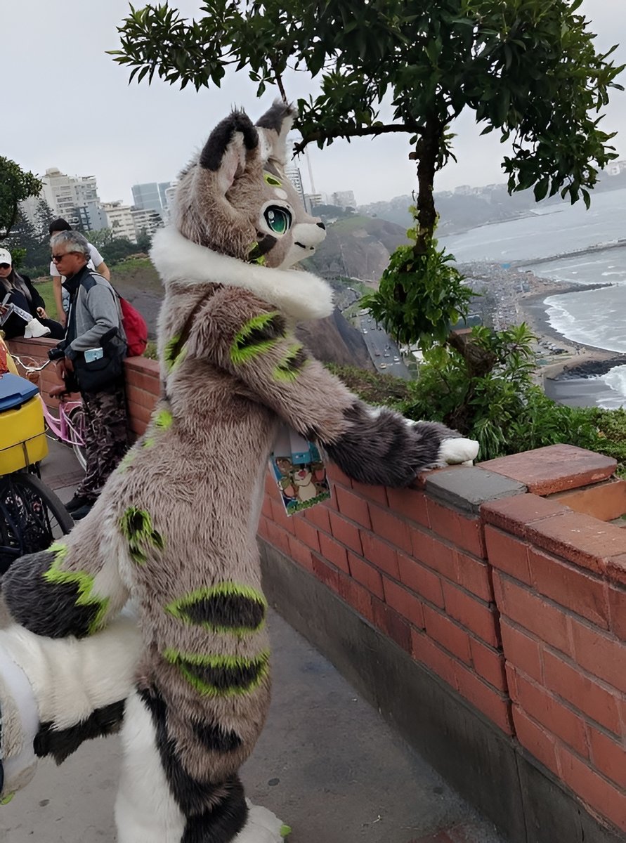 Niu_Ears_Up's tweet photo. beach was cold that day 🥶 (Lima used to be very cloudy the past century ☝️🤓) https://t.co/re7WE4bek9