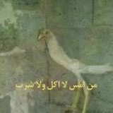 rragghaaad's tweet photo. @byreny0 لا تكفين لا تقطعين رزقي https://t.co/ALARg4ii1d