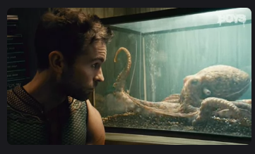 CombsSharli's tweet photo. I knew he reminded me of someone https://t.co/eojr5qeI2l