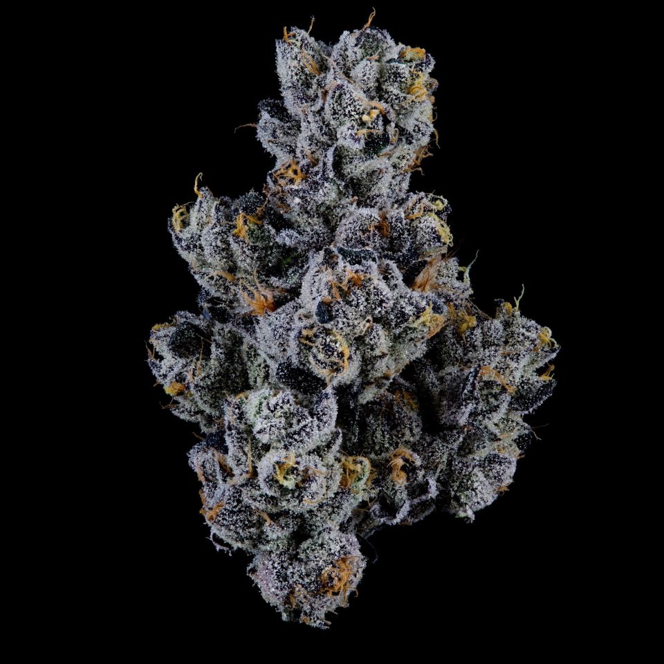 HIGH_TIMES_Mag's tweet photo. ICYMI: High Times Strains of the Month are here.

Giraffe P swept Zalympix. BBL2 keeps winning cups. One Peach Tree clone is going for $20,000.

@davidrdowns tracks the flower making noise across the country in his latest Terp Sherpa column: https://t.co/AP05iL7NbL https://t.co/8fjQPnbAZP