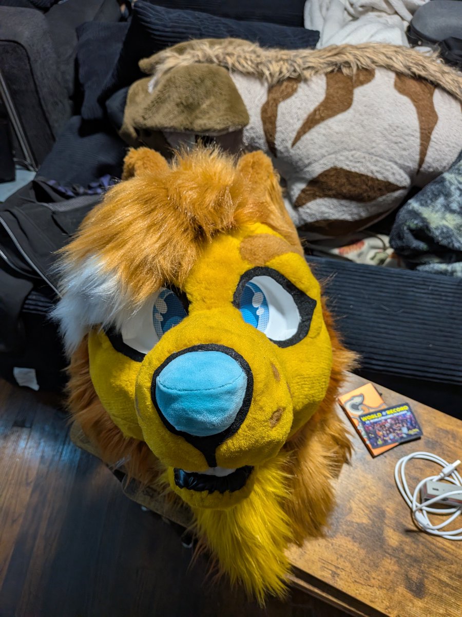 JackTheDeergal's tweet photo. It's pretty much done, besides some final touch-up. But here's Majello the Coywolf! My first canine head I ever made x3 https://t.co/sT99Oj6uFt