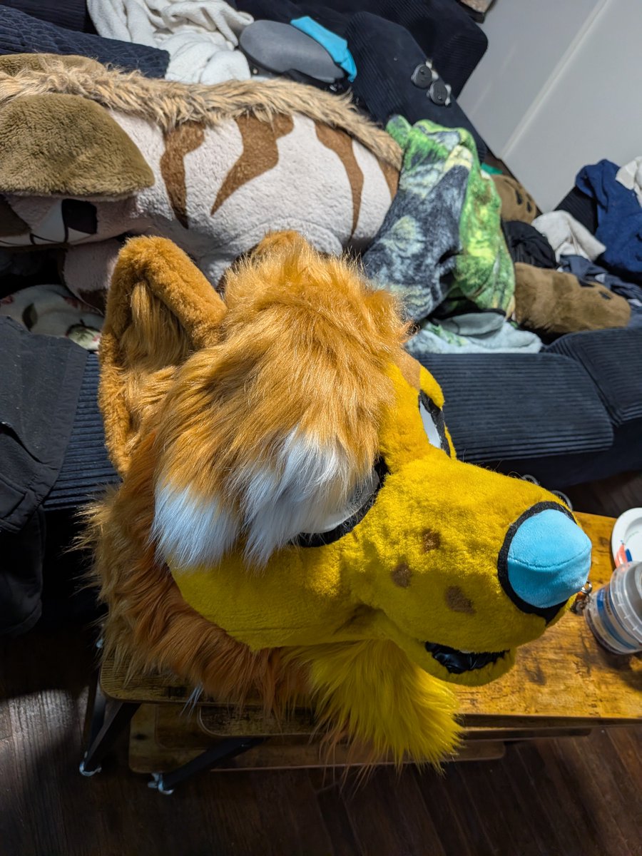 JackTheDeergal's tweet photo. It's pretty much done, besides some final touch-up. But here's Majello the Coywolf! My first canine head I ever made x3 https://t.co/sT99Oj6uFt