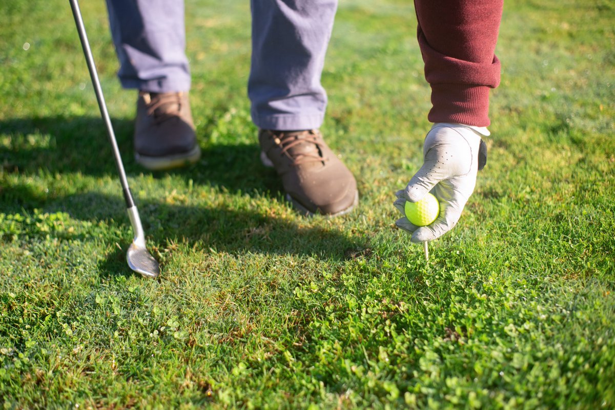 mitsukio2vo's tweet photo. In a picture near the willow orchard, I had athletic hinge with the arms loose. Quiet flutter and pine frame were around me. My clay sunscreen, graphite brush, and olive mitt were there too. #GolfForm #WillowOrchardGolf https://t.co/Cd50AFdZhI