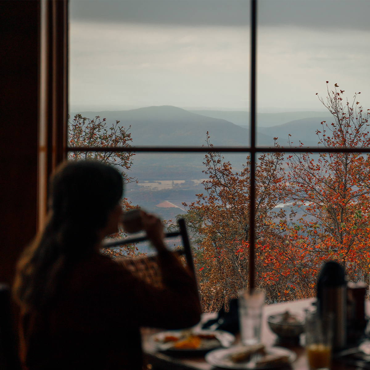 ArkStateParks's tweet photo. Fall in Arkansas is even better at a state park. Add these #ARStateParks to your fall bucket list! #TheNaturalState

📍 Devil's Den State Park
📍 Petit Jean State Park
📍 Mount Magazine State Park https://t.co/jFvTOgbPKj
