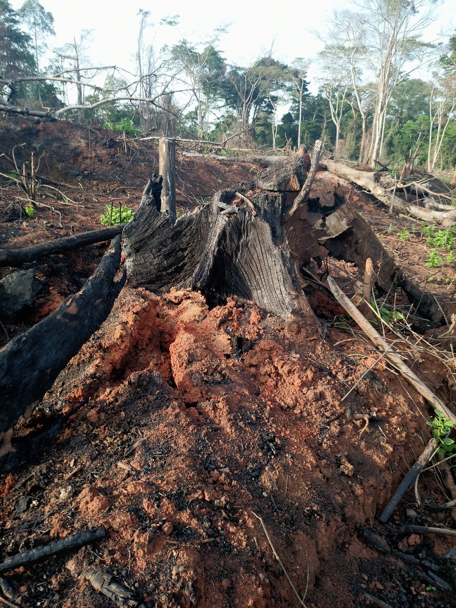 AbiluTangwa's tweet photo. We’re using the equivalent of 1.6 Earths to sustain our lifestyle.
Ecosystems can’t keep up.
One million of 8 million species face extinction risk.
75% of land surface has been significantly altered by humans.
Source: UNEP / IPBES
https://t.co/yWE7mWpkjD https://t.co/URLXIfs6C4