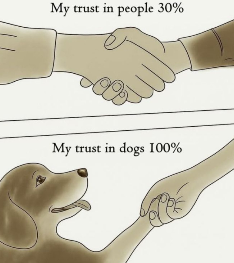 TweeetsOfDogs's tweet photo. https://t.co/2AeYseWqzT