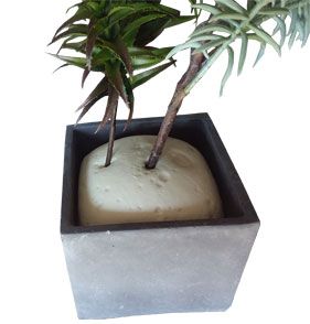 MasterPackCA's tweet photo. Create Beautiful Floral Arrangements with Liquid Floral Foam

Looking for a versatile way to secure flowers and create stunning floral designs? Liquid Floral Foam provides a practical solution for floral professionals and event designers.

https://t.co/qGKrFbdxFr https://t.co/snRIEjZNXV