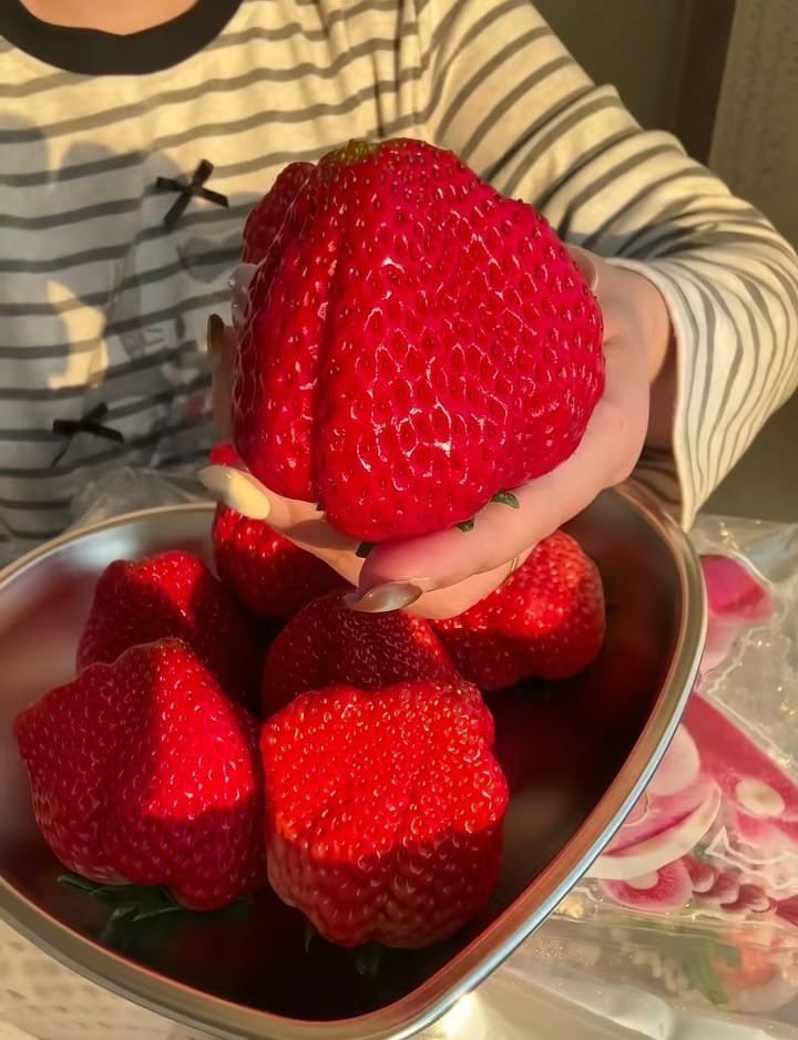 300moods's tweet photo. giant strawberries 🍓 https://t.co/6KaTOtu2AP