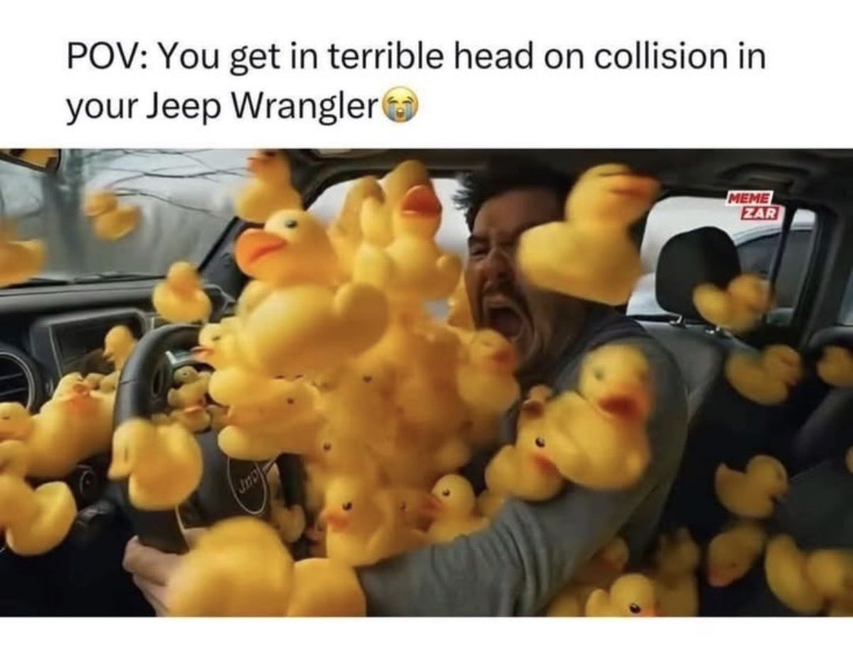 LAfromLINY's tweet photo. 😳🐥😂😘 https://t.co/gSriQmUw4w