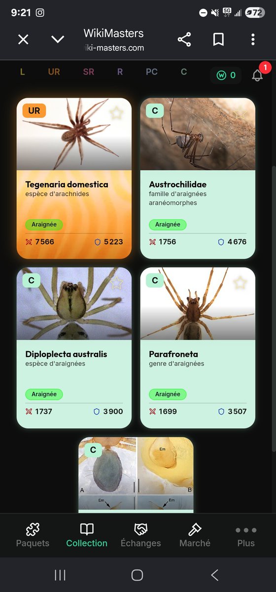 sp1d3r23's tweet photo. Bjr je collectionne les araignées sur wiki master donc si vous en avez (de préférence avec photo mais sinon pg!!) Je prend svp 🙏🙏🙏 https://t.co/ohVPavcvsw