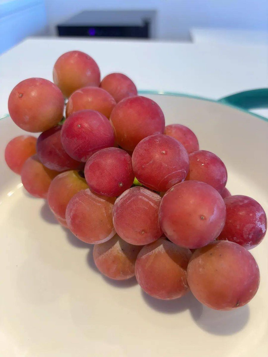 Cherrylo4rb's tweet photo. Just tried the new organic cherry tomatoes from local farms! Burst with sweet juice, no weird aftertaste—perfect for salads or snacking. Highly recommend grabbing a pack! https://t.co/V8AGxVXey4