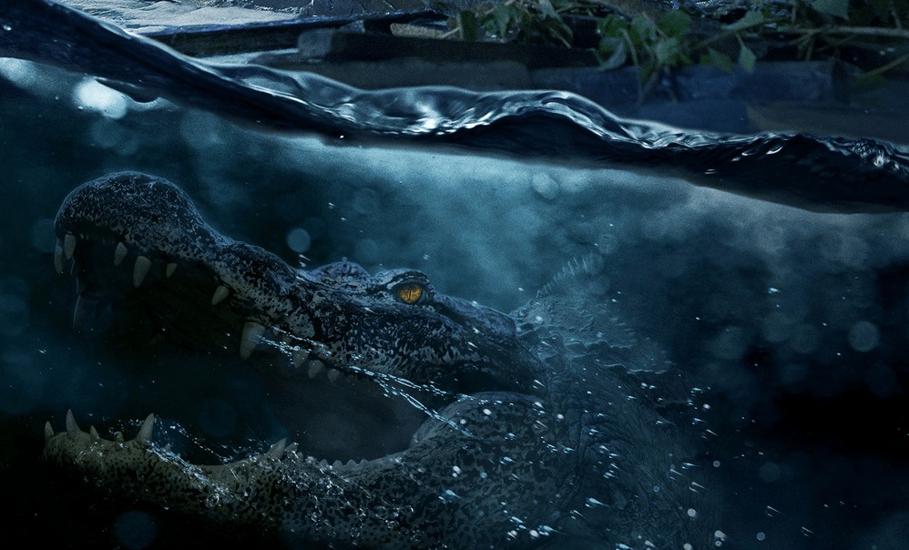 BDisgusting's tweet photo. CRAWL 2.

Only in theaters July 16, 2027.

Alexandre Aja is back to direct.

Mason Gooding and Emily Rudd will star. https://t.co/VJNaAuSKBy