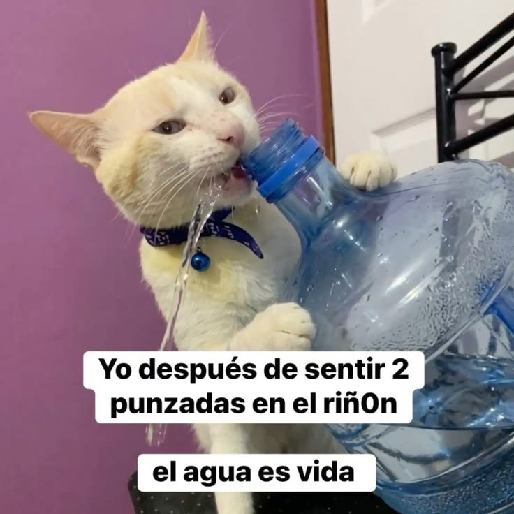 oscilo_nx's tweet photo. Tuiter@ promedio 🤭 https://t.co/ntpGvsLNQn