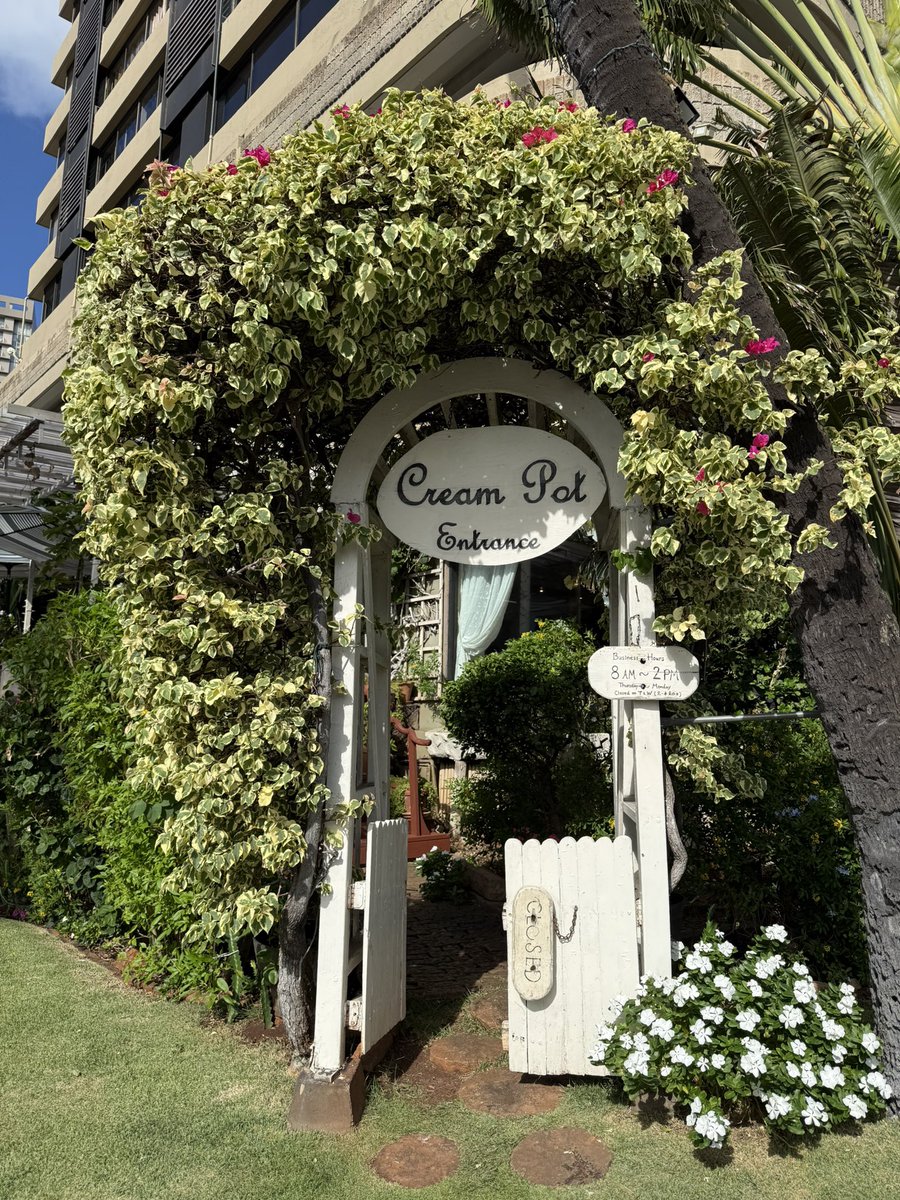 madeleine__524's tweet photo. EJニコが行ったハワイのお店に来た☺️
Cream Pot
https://t.co/S767Bs8uM1
&amp;TEAM 聖地巡り https://t.co/YrdqCycTNe
