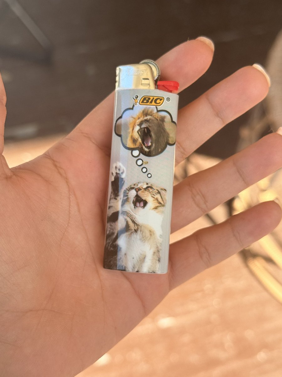 dayshiftgirI's tweet photo. how tuff is this https://t.co/uHiwL1Aoue