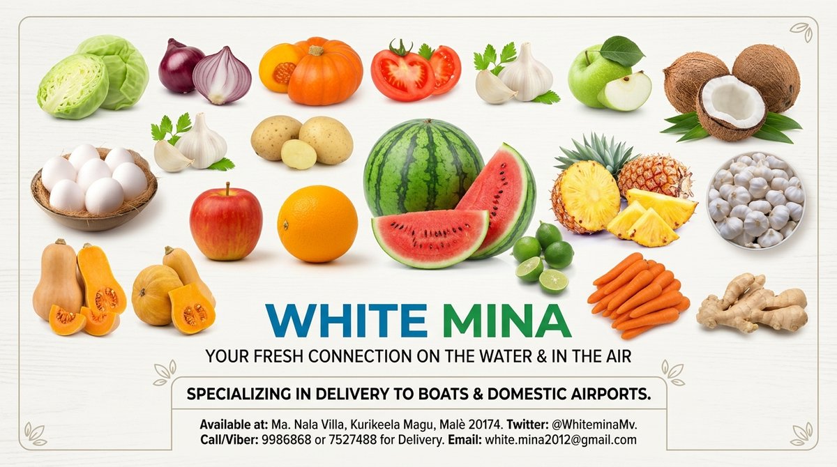 WhiteminaMv's tweet photo. Available Twitter @WhiteminaMv
Ma. Nala Villa
Kurikeela Magu
Malè 20174
Call or Viber 9986868 / Call 7527488 for Delivery
white.mina2012@gmail.com

Good quality 
Ragalhu rate ah ithubaaraa eku

Dhoanyah Boatah aruvaadhen
Domestic Airport thakah Fonuvaadhinumuge Khidhumathaa eku https://t.co/LShoLIT71h
