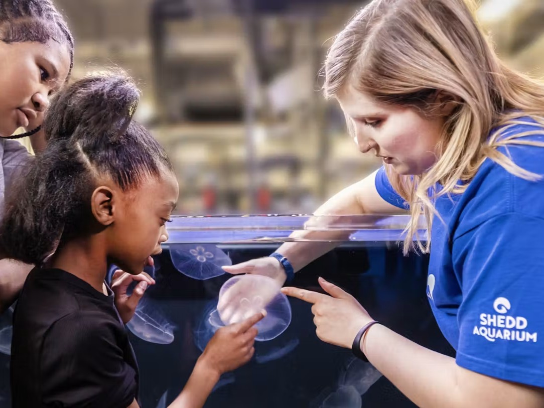 InvenergyLLC's tweet photo. Since our founding 25 years ago in the city of Chicago, we've partnered with many of the incredible cultural staples of our hometown as proof of our ongoing commitment and appreciation to the city⚡@shedd_aquarium @Cubs @UChicago @msichicago @ChicagoScholars @FoodDepository https://t.co/gtF3iB21X6