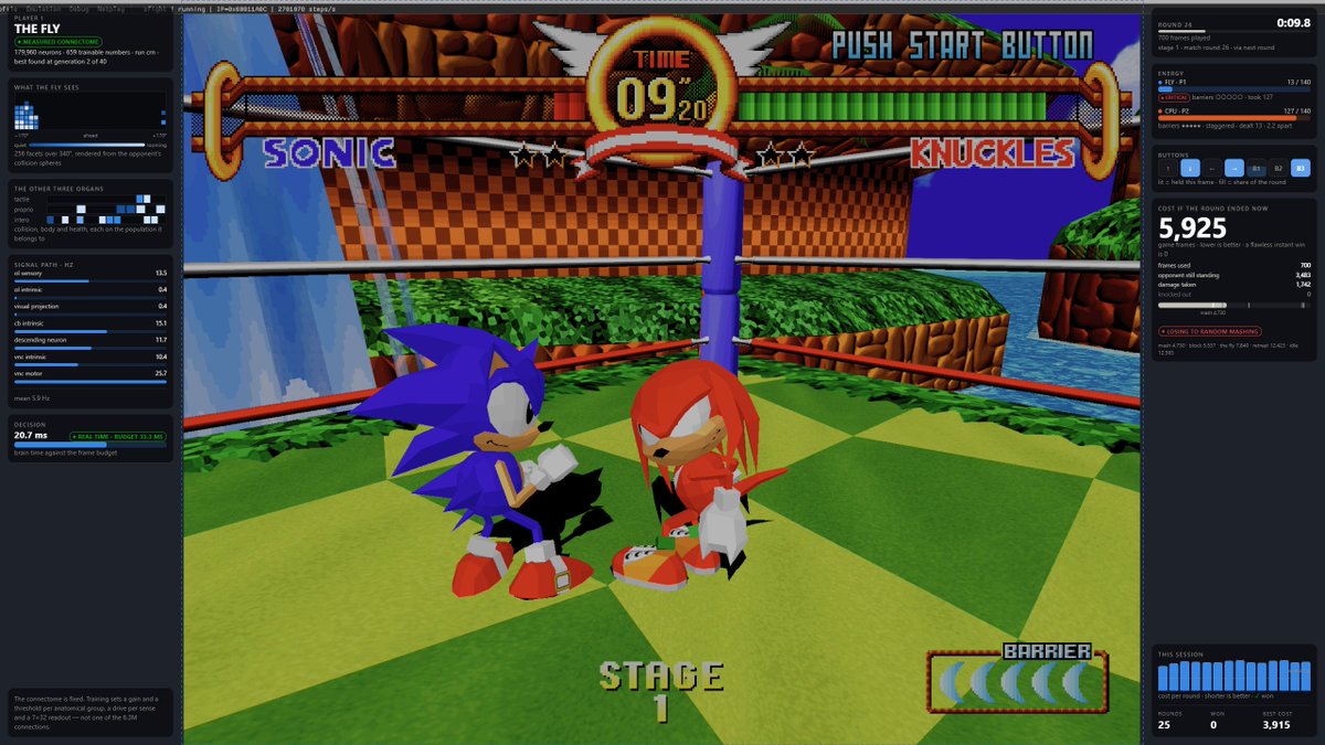 biggestsonicfan's tweet photo. Yes, I am teaching a fly to play Sonic the Fighters. You will be able to play against it soon too. https://t.co/S0DK594vlY