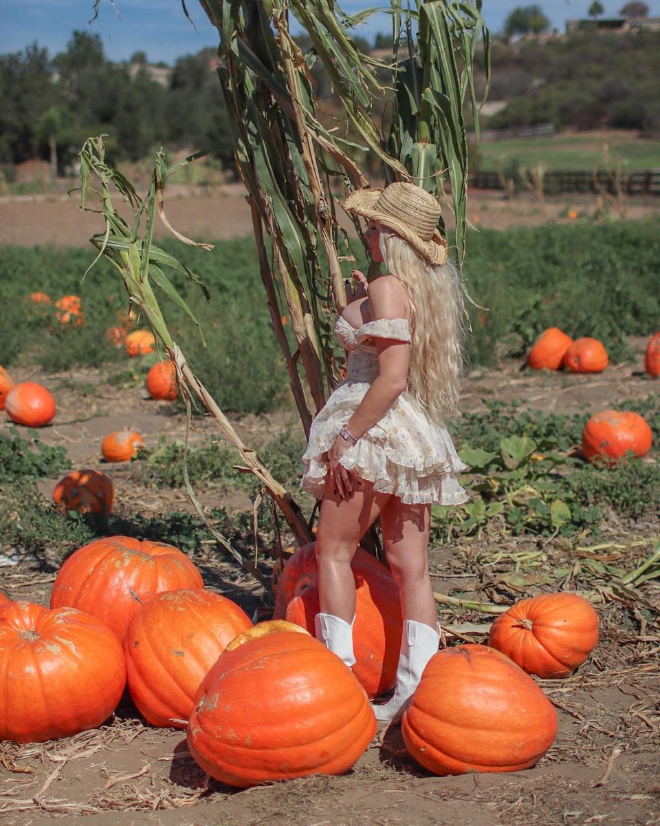 ms_trublu_07's tweet photo. Bates Nut Farm annual pumpkin patch pics https://t.co/YWBedvoSZi