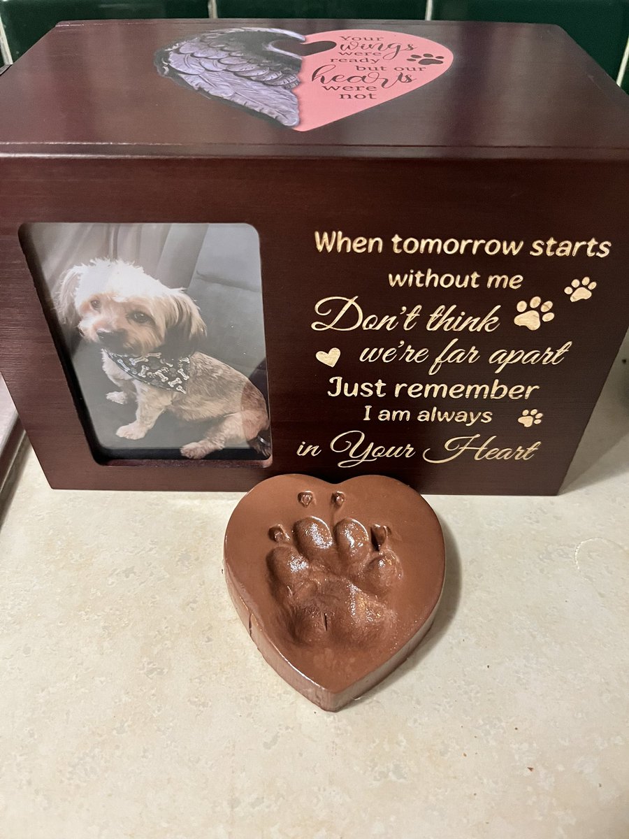 TherasaFritze's tweet photo. Loki is back home with his family. We love you always and forever. https://t.co/jag6mQeKAy