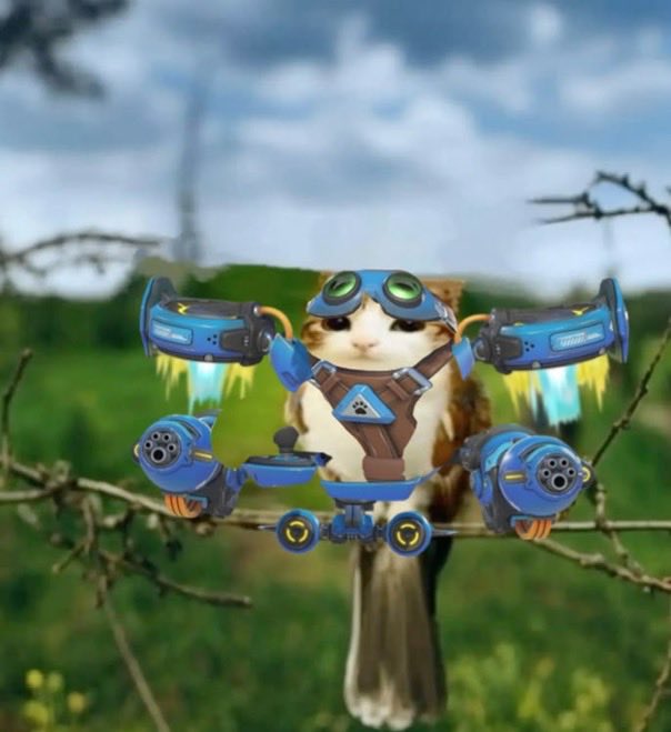 jetpackcatt's tweet photo. meowl https://t.co/nWe9wIaZXs