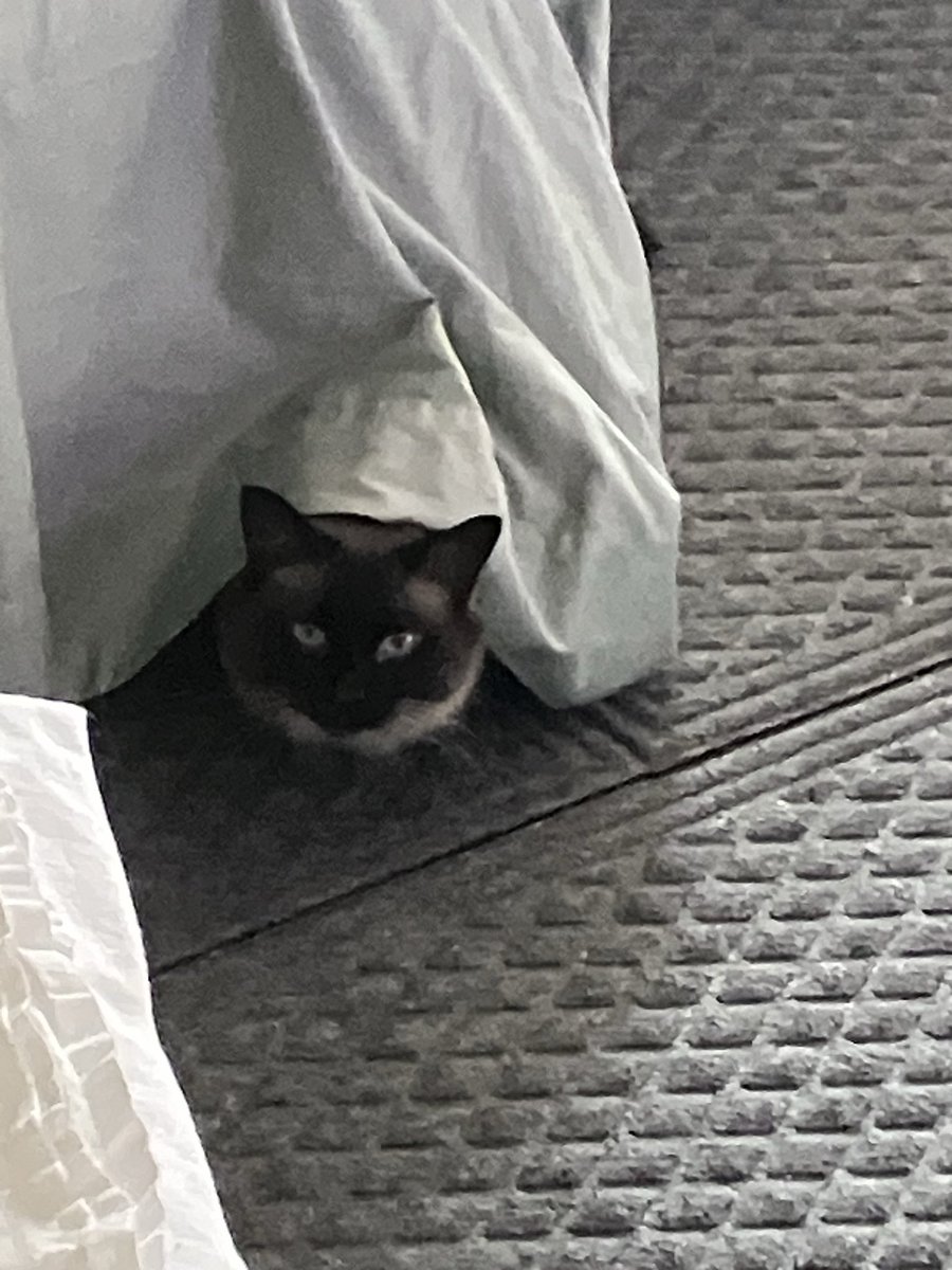 BetaSteve7's tweet photo. @mega_bonanza That’s jinx! https://t.co/IdMNM0lCwb