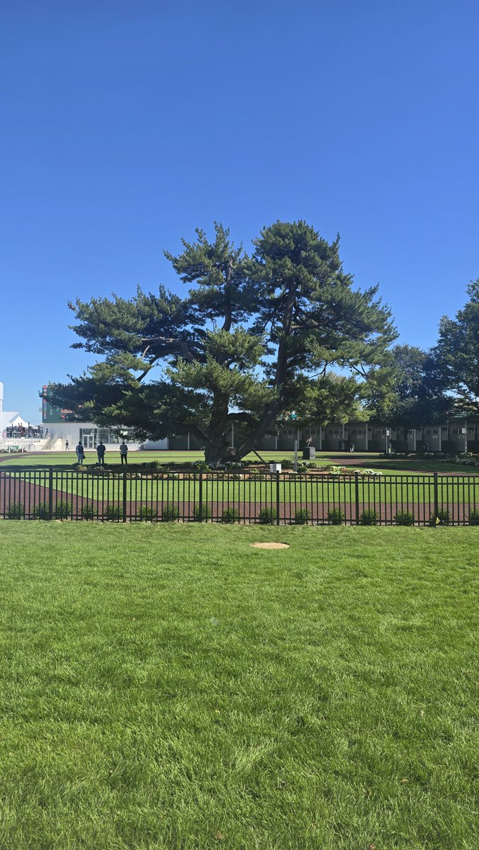RainMan3313's tweet photo. It still looks immaculate @BelmontPark1905 https://t.co/OkRyqc1Hci